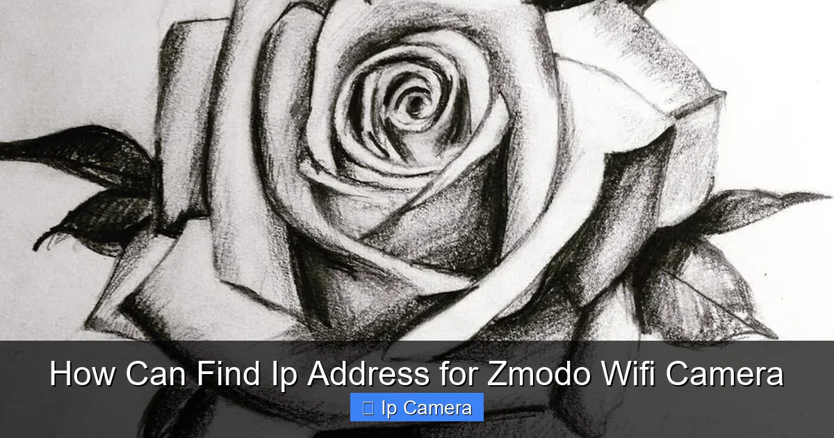 How Can Find Ip Address for Zmodo Wifi Camera