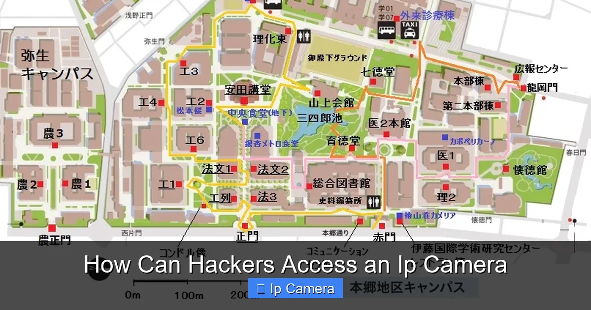 How Can Hackers Access an Ip Camera