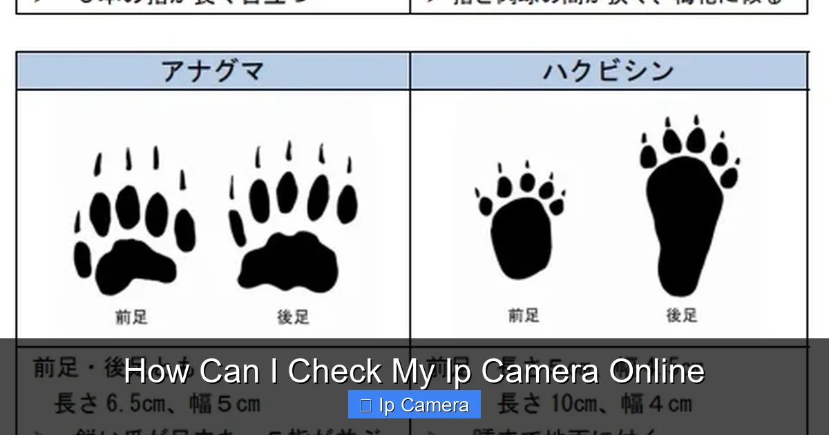 How Can I Check My Ip Camera Online