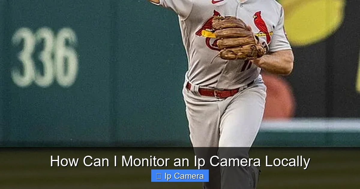 How Can I Monitor an Ip Camera Locally