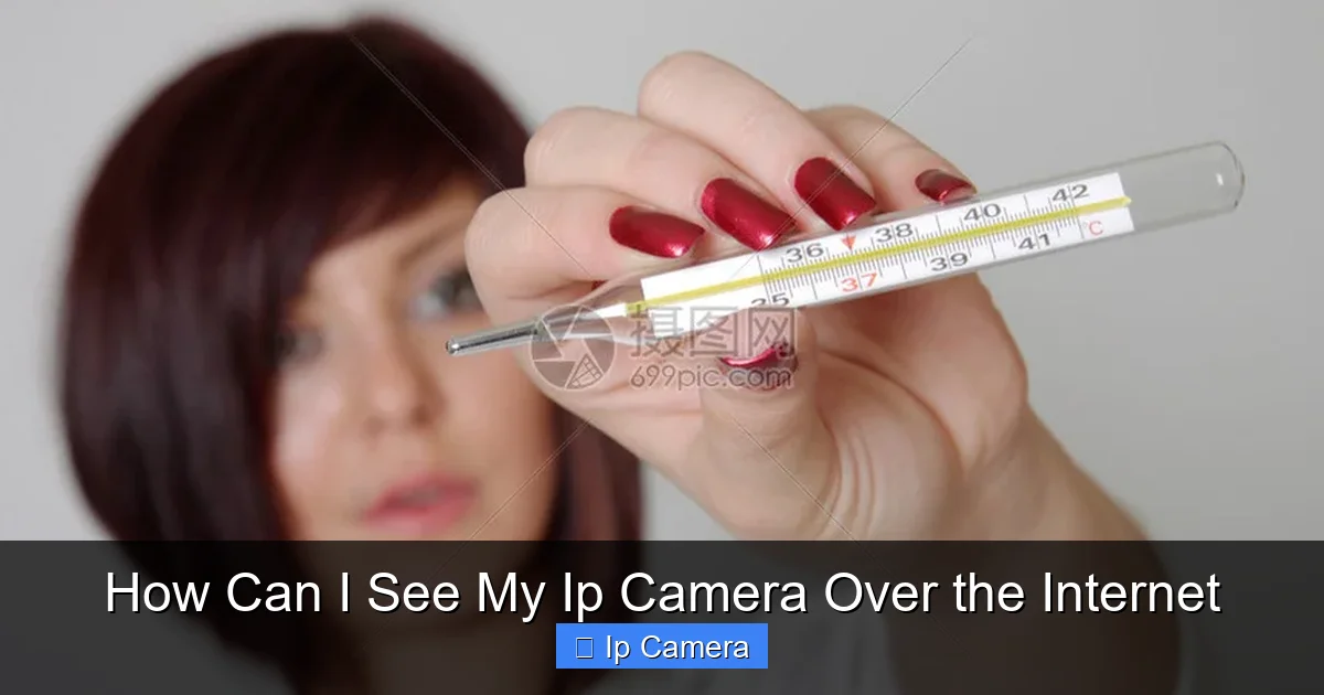 How Can I See My Ip Camera Over the Internet