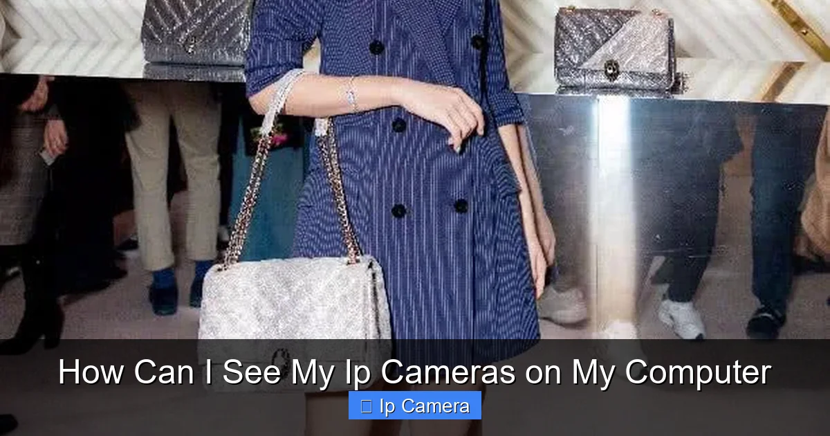 How Can I See My Ip Cameras on My Computer
