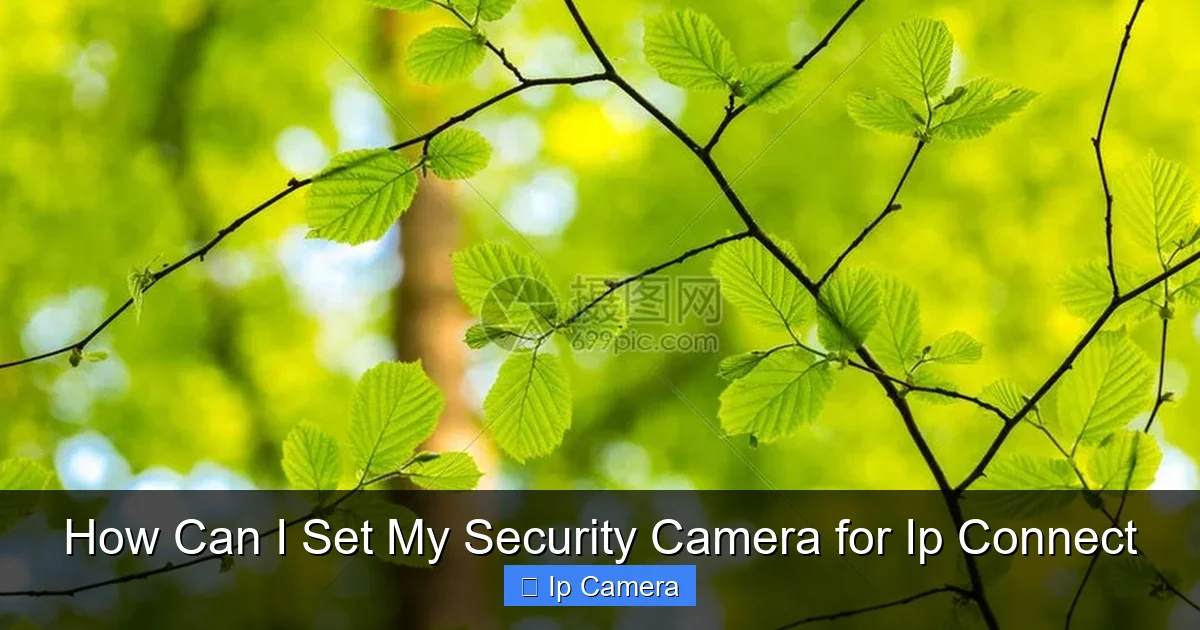 How Can I Set My Security Camera for Ip Connect