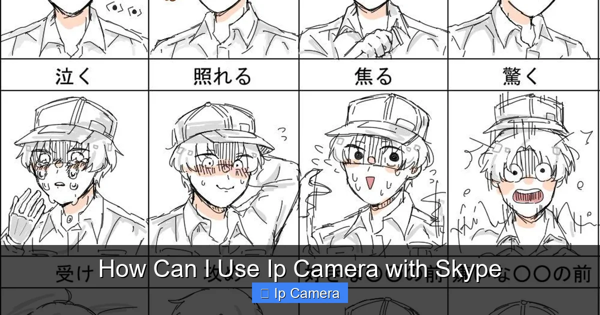 How Can I Use Ip Camera with Skype