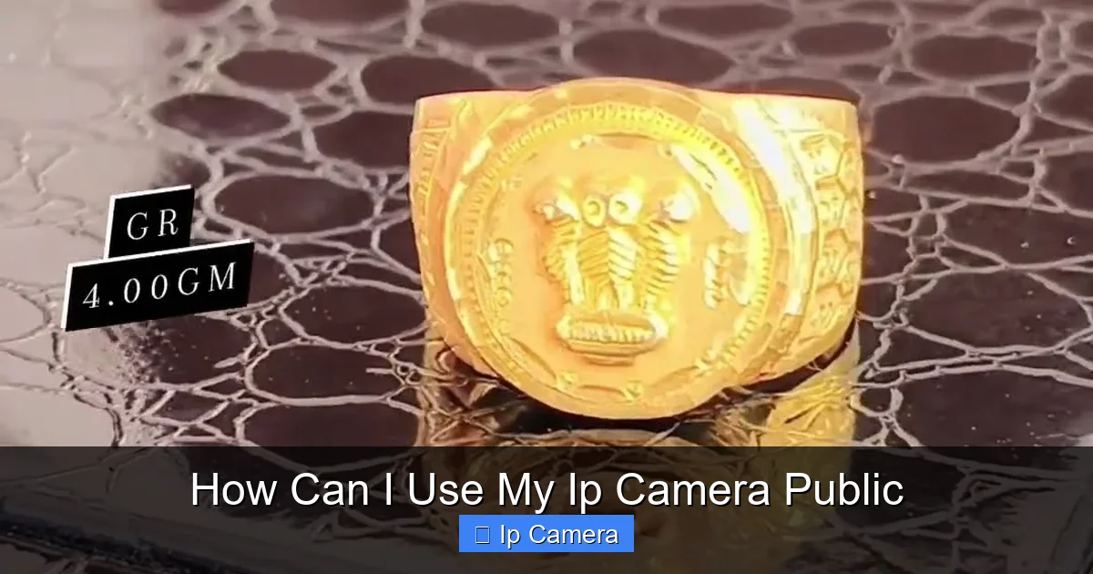 How Can I Use My Ip Camera Public
