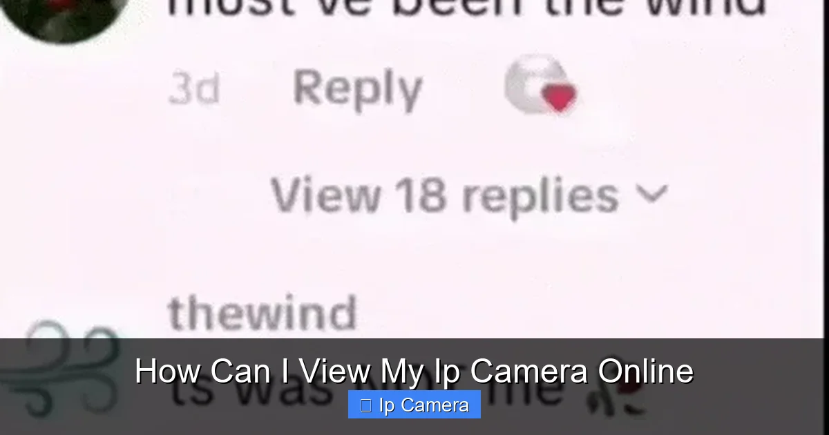 How Can I View My Ip Camera Online
