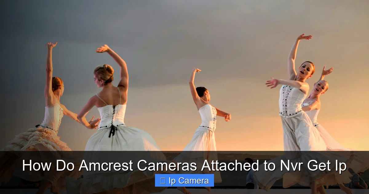 How Do Amcrest Cameras Attached to Nvr Get Ip