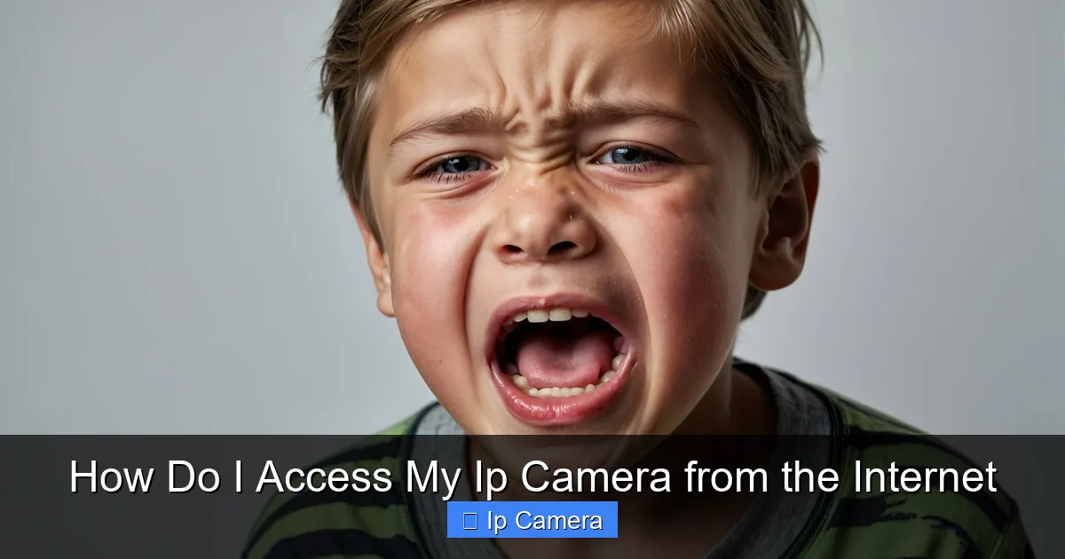 How Do I Access My Ip Camera from the Internet