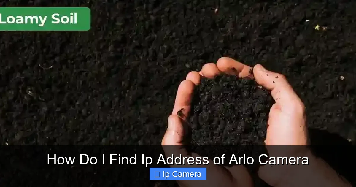 How Do I Find Ip Address of Arlo Camera