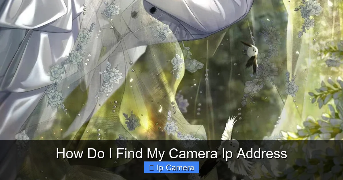 How Do I Find My Camera Ip Address