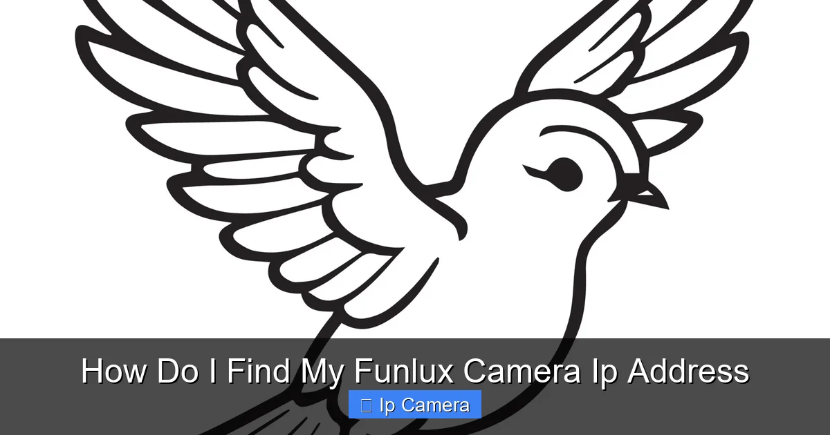 How Do I Find My Funlux Camera Ip Address