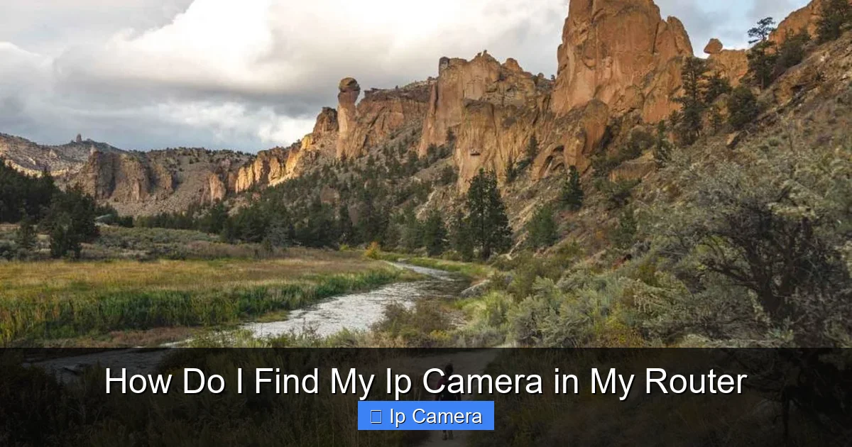 How Do I Find My Ip Camera in My Router