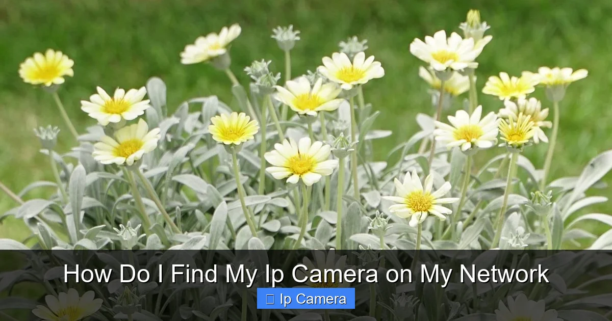 How Do I Find My Ip Camera on My Network