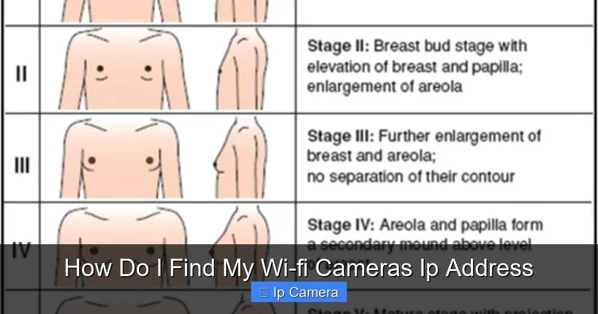 How Do I Find My Wi-fi Cameras Ip Address
