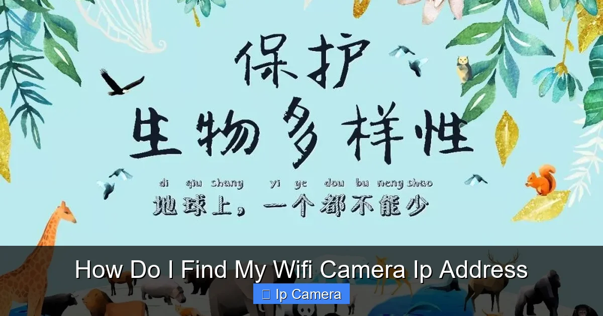How Do I Find My Wifi Camera Ip Address