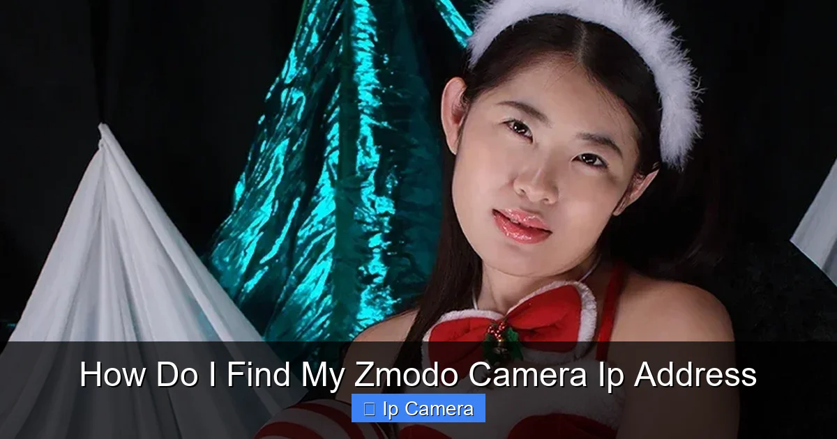 How Do I Find My Zmodo Camera Ip Address