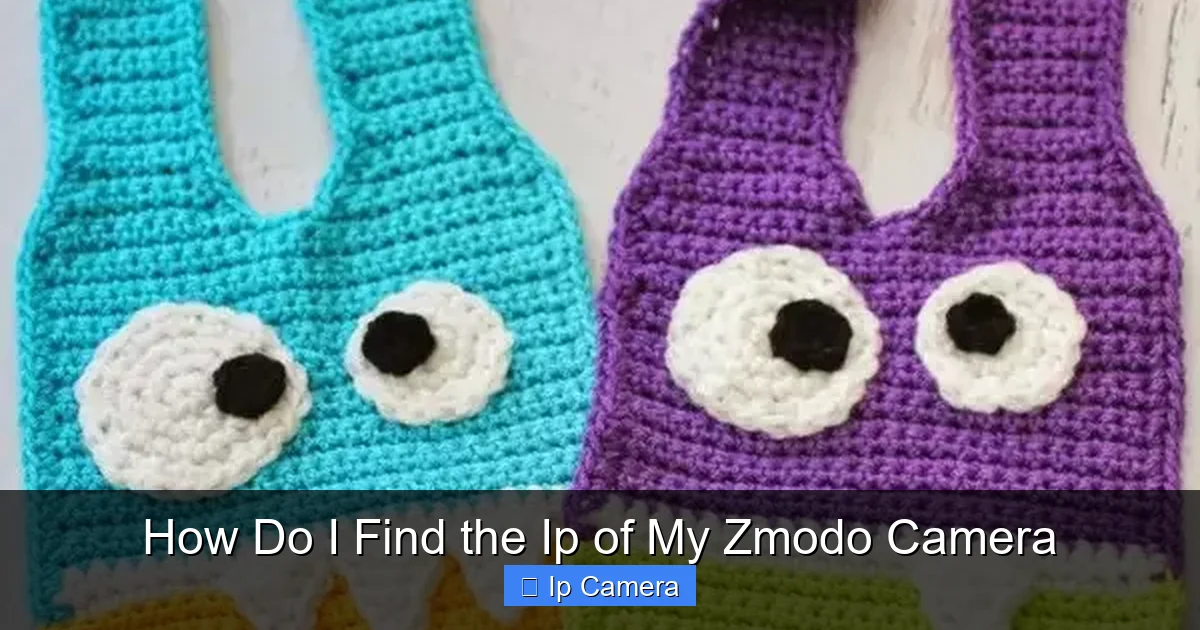How Do I Find the Ip of My Zmodo Camera