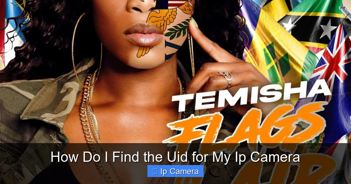 How Do I Find the Uid for My Ip Camera
