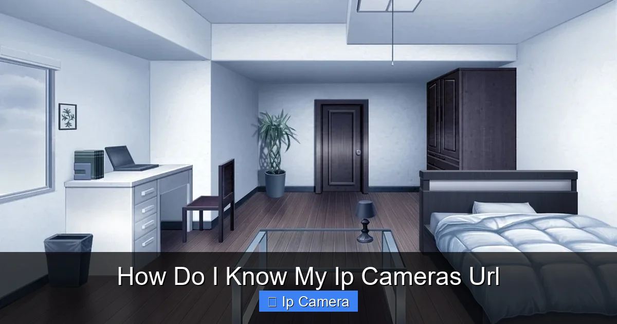 How Do I Know My Ip Cameras Url