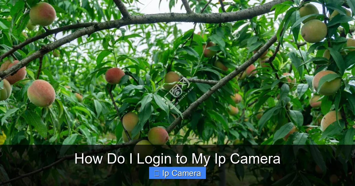 How Do I Login to My Ip Camera