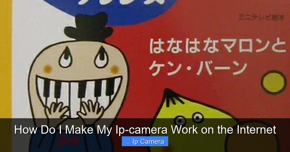 How Do I Make My Ip-camera Work on the Internet