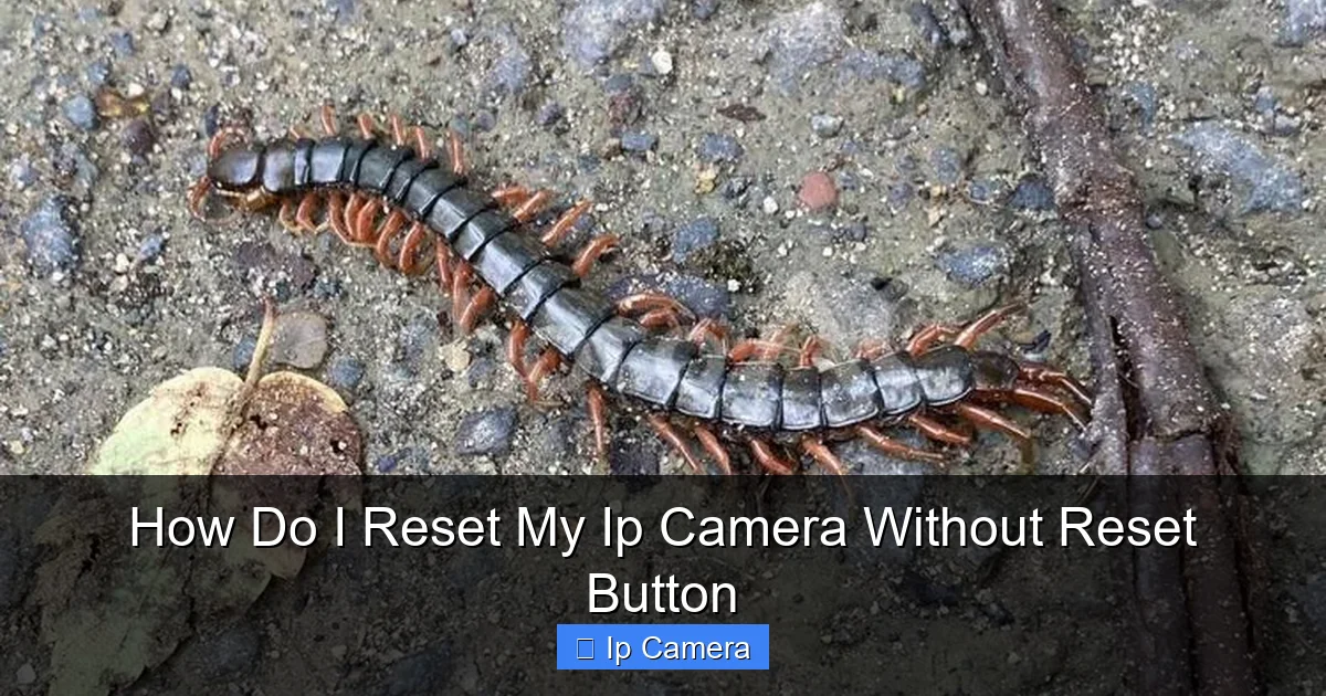 How Do I Reset My Ip Camera Without Reset Button