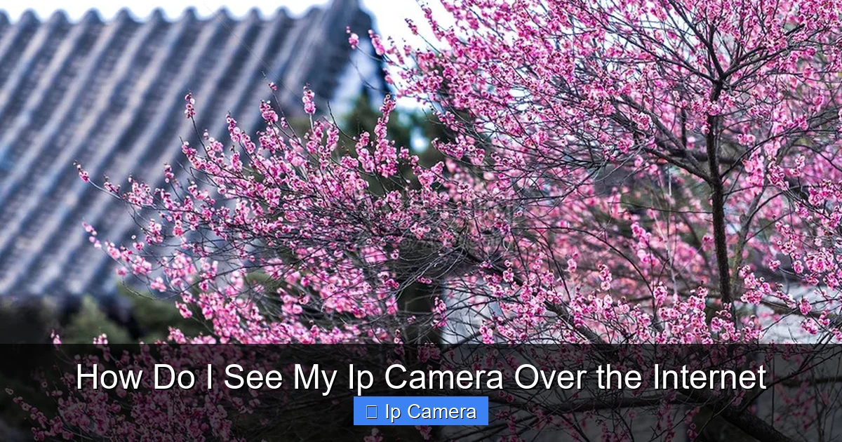 How Do I See My Ip Camera Over the Internet