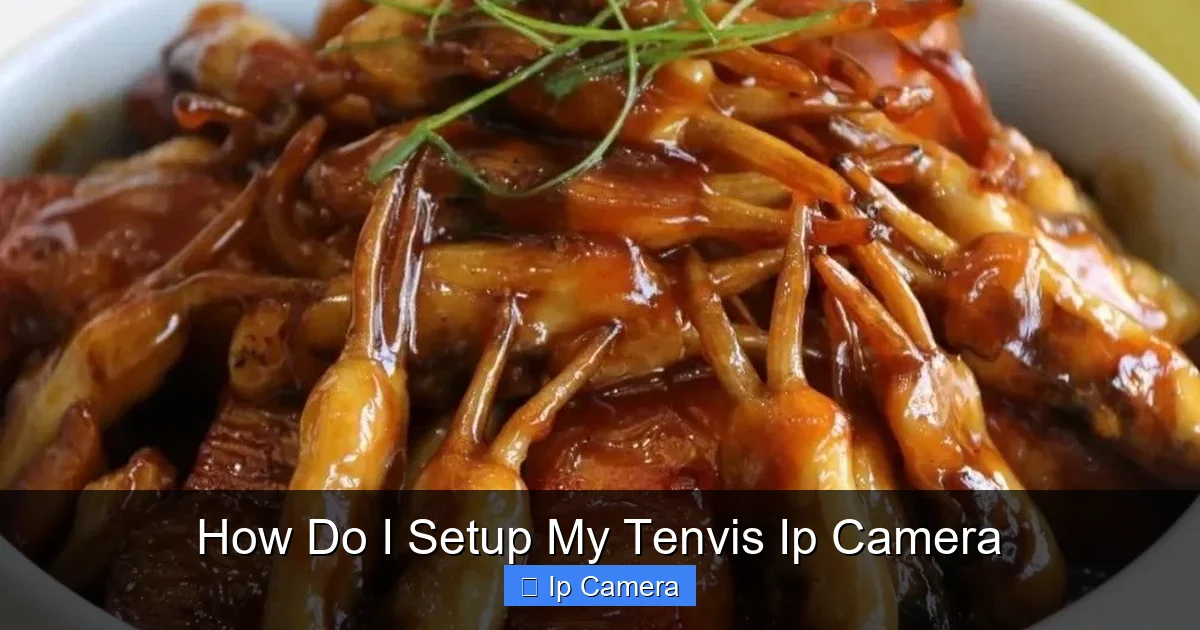 How Do I Setup My Tenvis Ip Camera