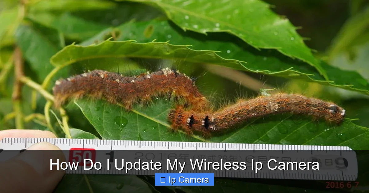 How Do I Update My Wireless Ip Camera