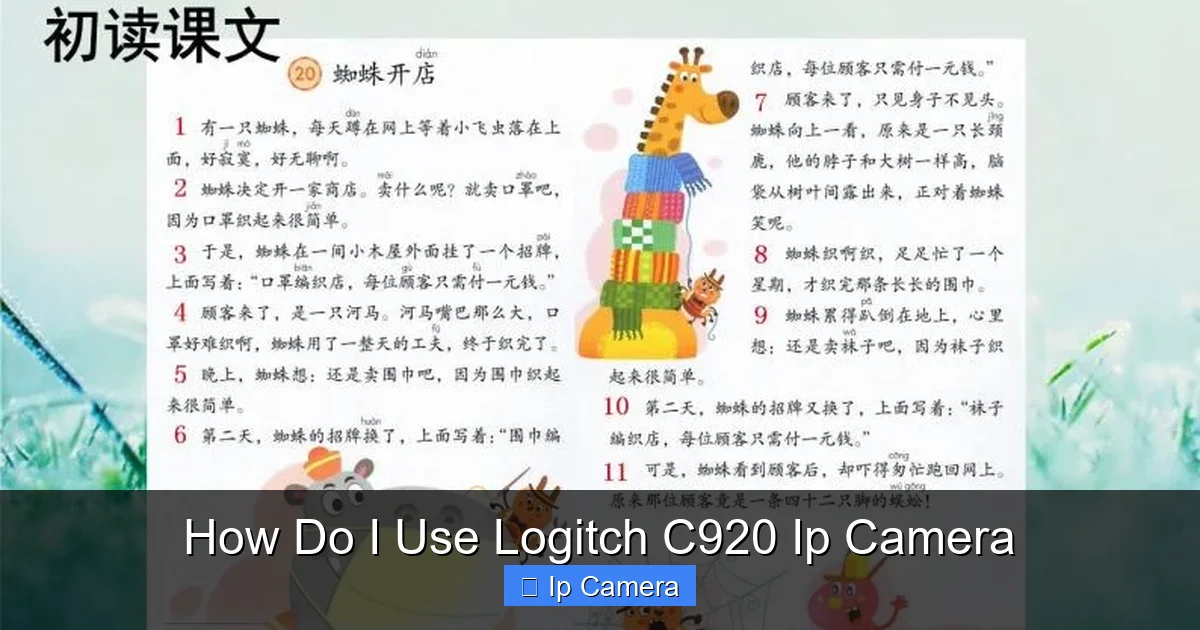 How Do I Use Logitch C920 Ip Camera