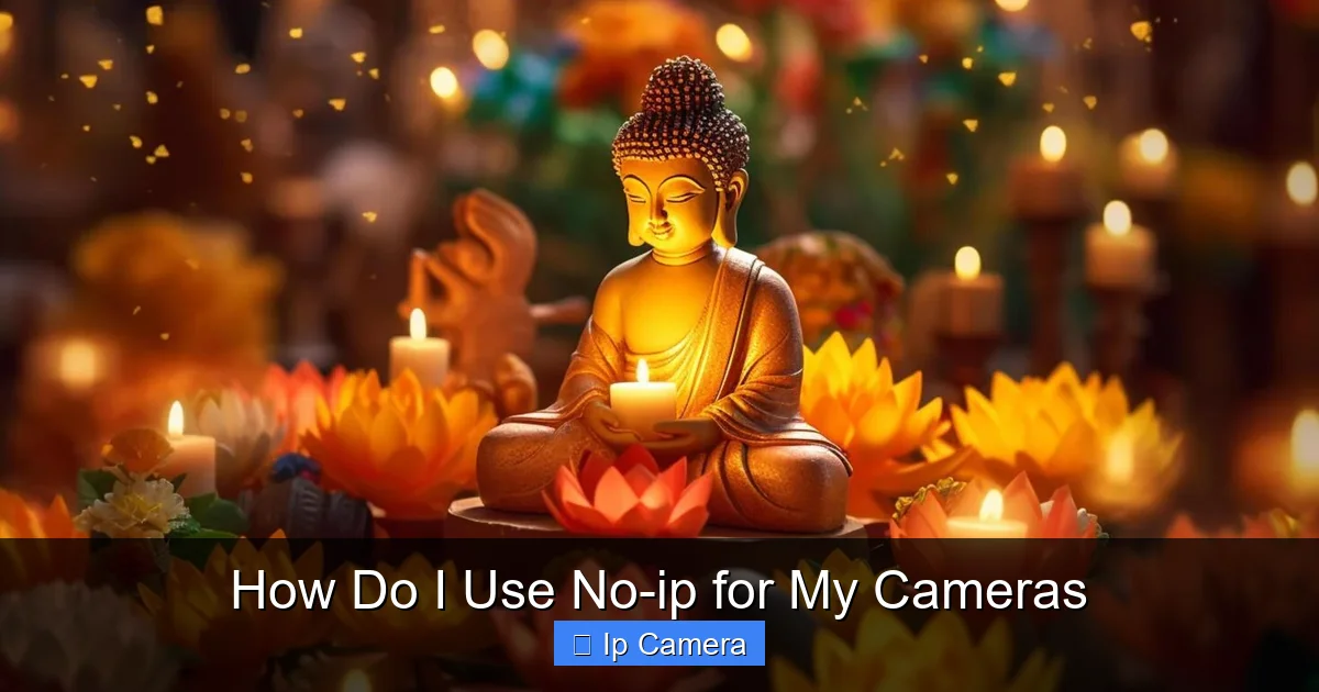How Do I Use No-ip for My Cameras