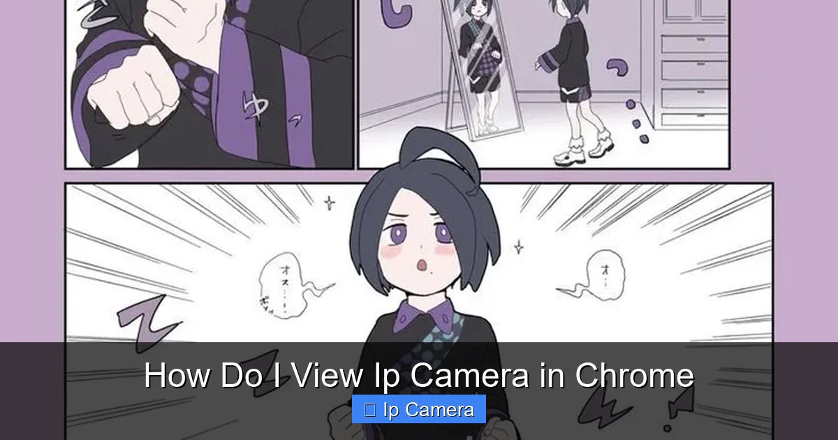 How Do I View Ip Camera in Chrome