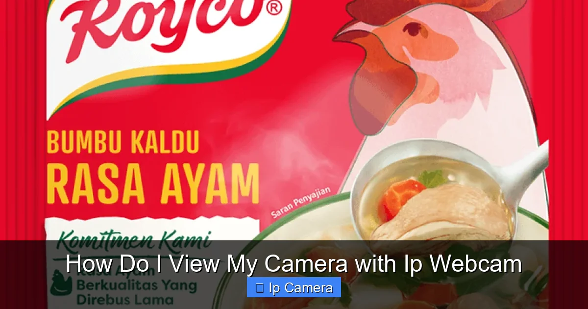 How Do I View My Camera with Ip Webcam