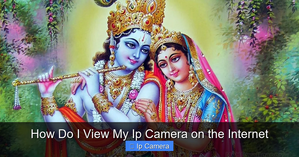 How Do I View My Ip Camera on the Internet