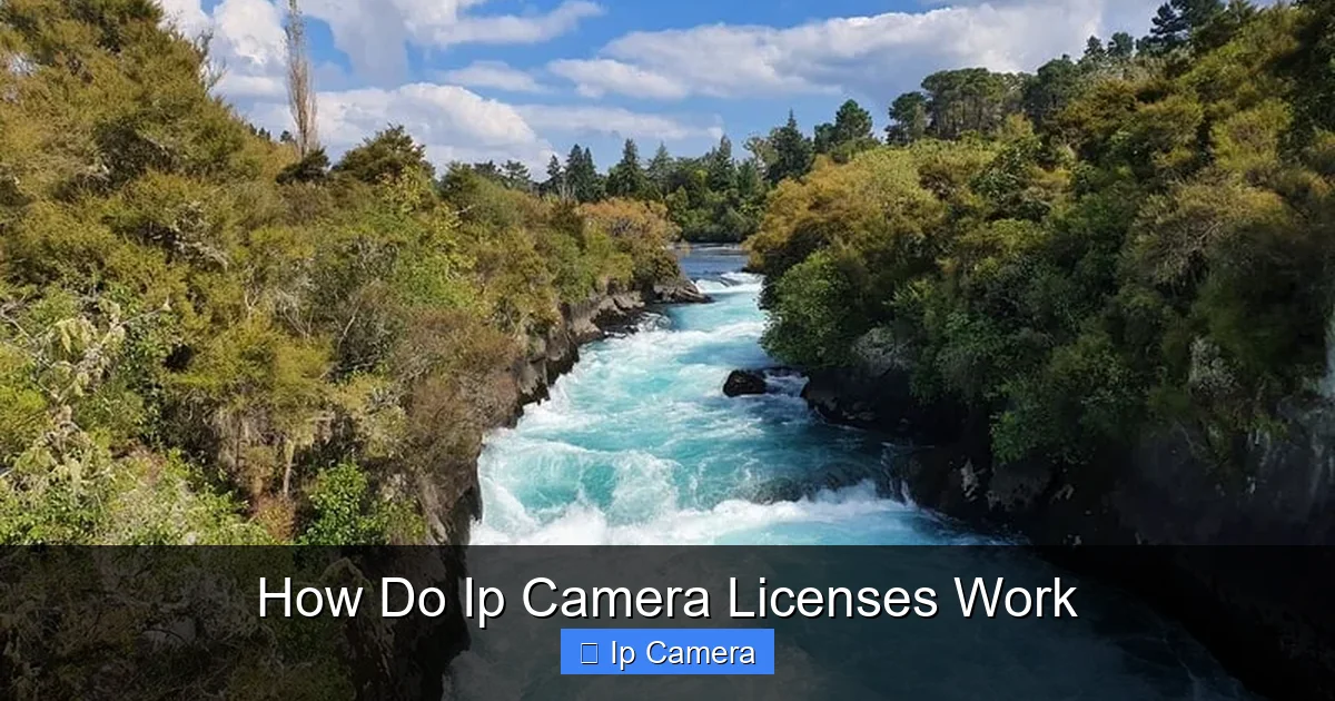 How Do Ip Camera Licenses Work