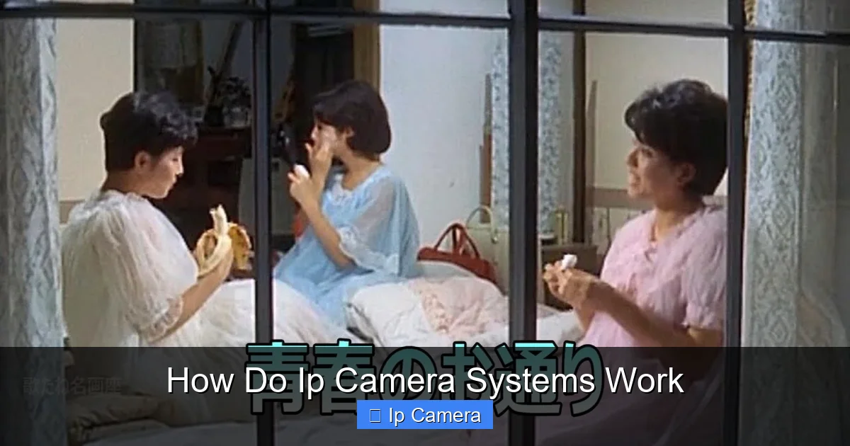 How Do Ip Camera Systems Work