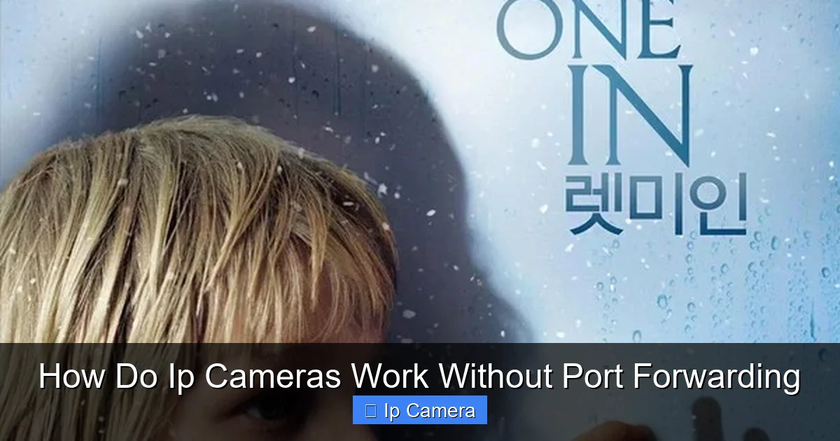 How Do Ip Cameras Work Without Port Forwarding
