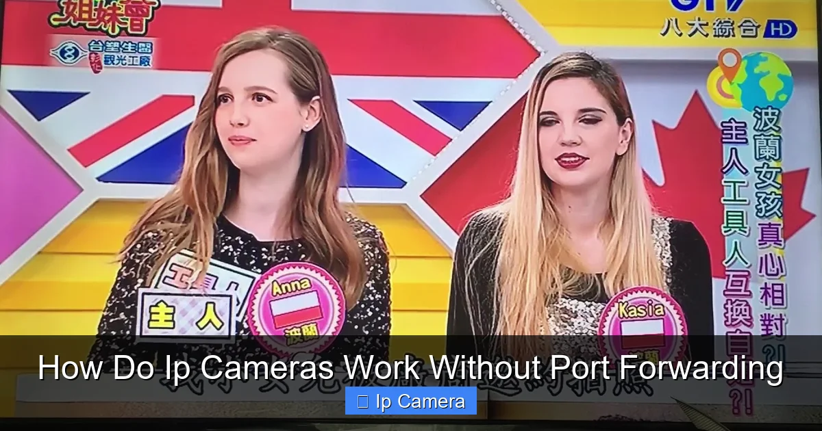 How Do Ip Cameras Work Without Port Forwarding