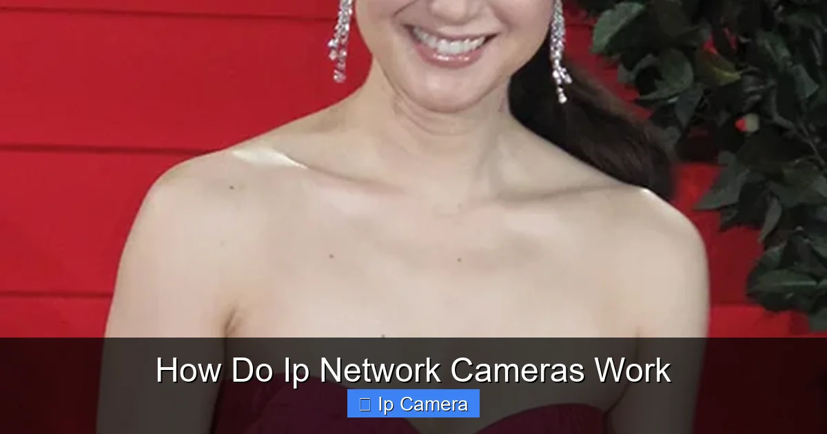 How Do Ip Network Cameras Work
