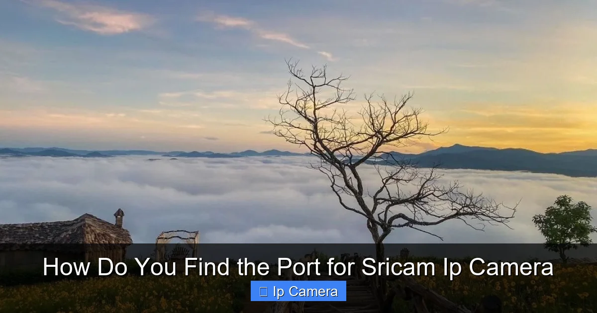 How Do You Find the Port for Sricam Ip Camera