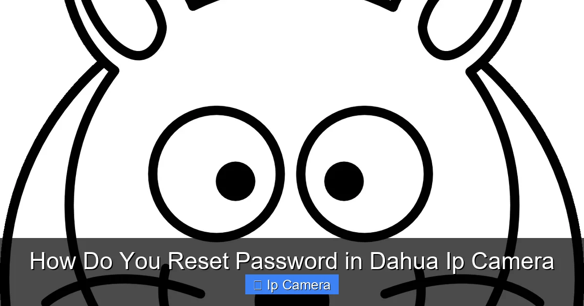 How Do You Reset Password in Dahua Ip Camera