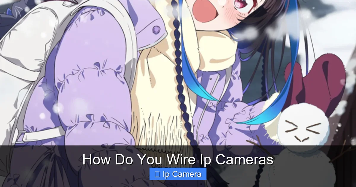 How Do You Wire Ip Cameras