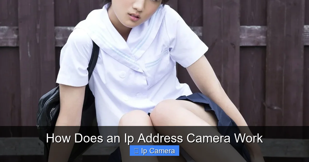 How Does an Ip Address Camera Work