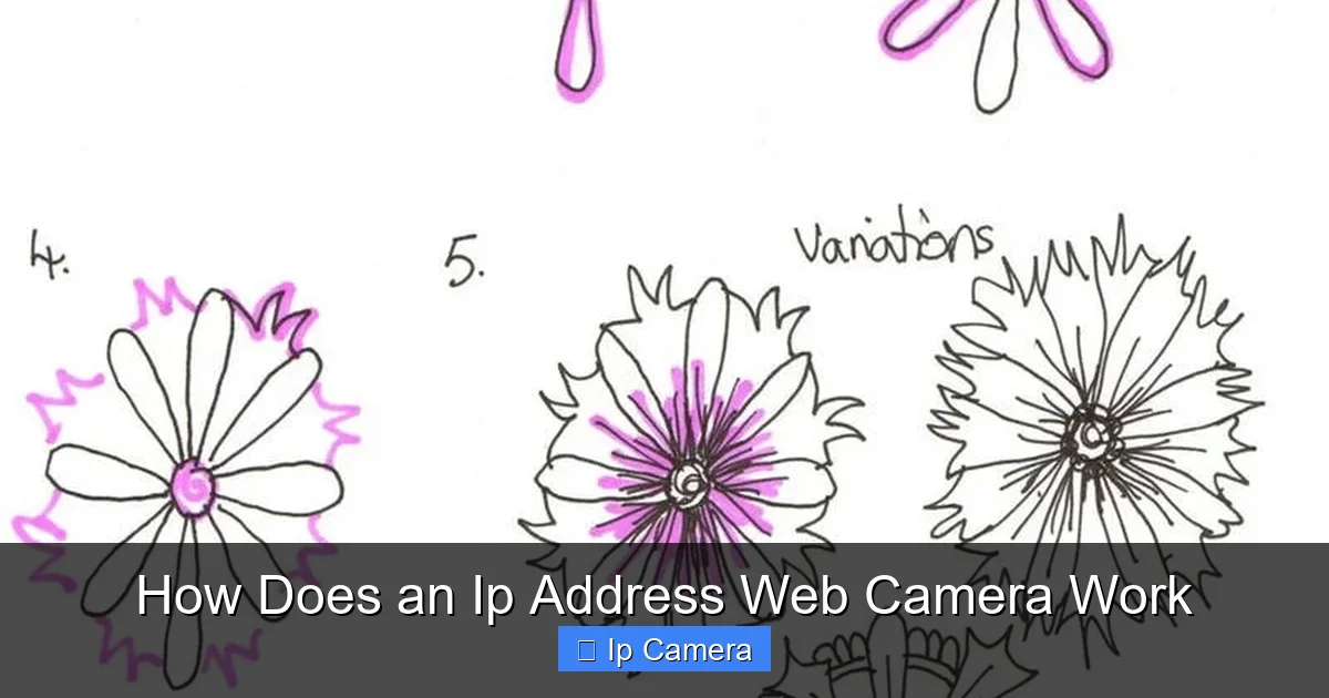 How Does an Ip Address Web Camera Work