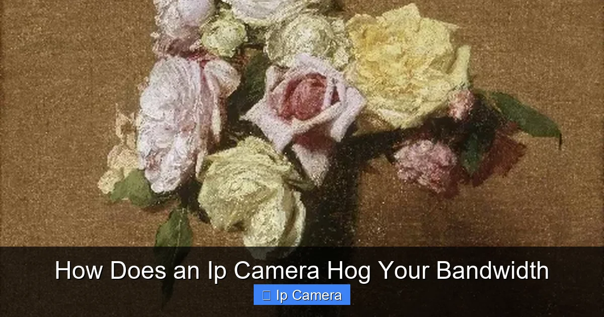 How Does an Ip Camera Hog Your Bandwidth