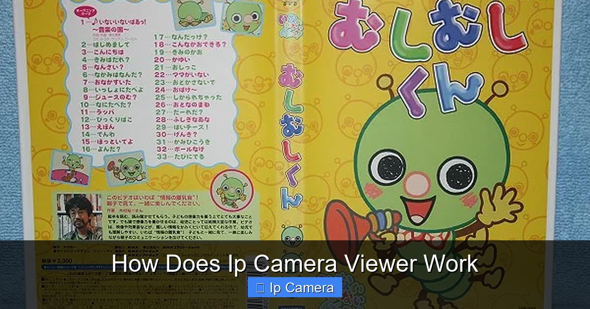 How Does Ip Camera Viewer Work