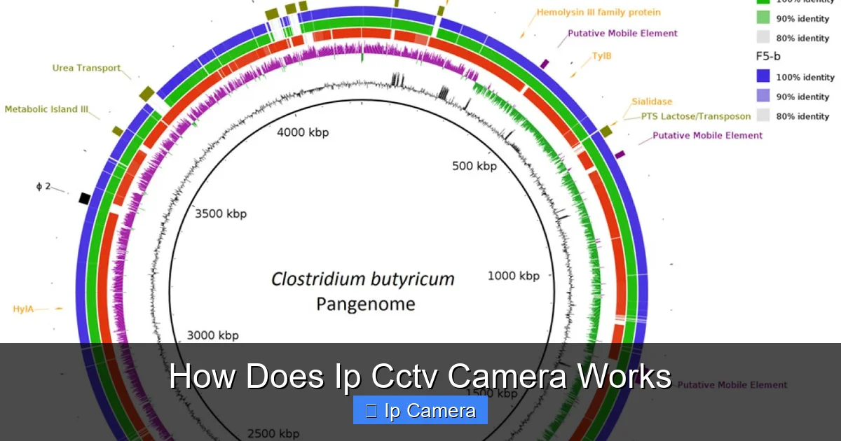 How Does Ip Cctv Camera Works