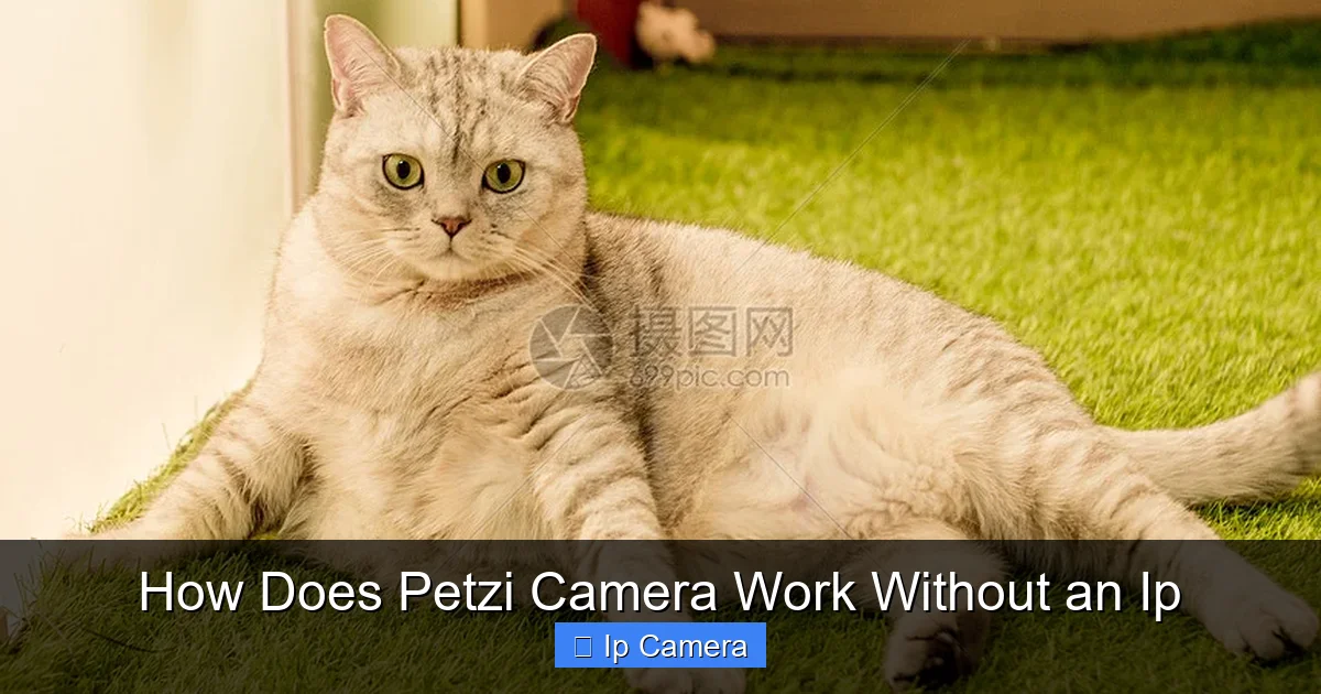 How Does Petzi Camera Work Without an Ip