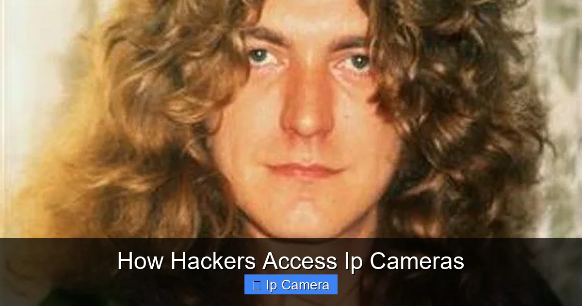 How Hackers Access Ip Cameras