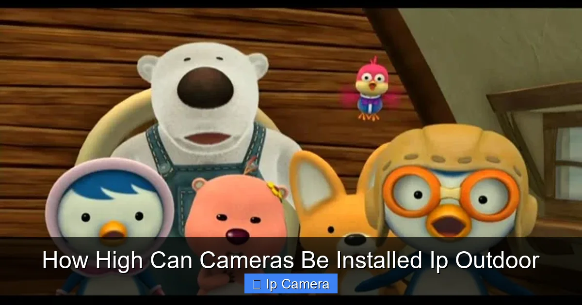 How High Can Cameras Be Installed Ip Outdoor